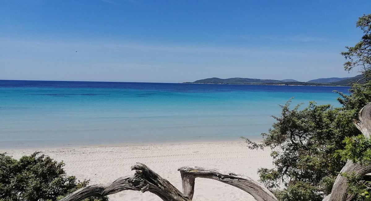 Ai Bastioni Di Alghero - 1 Bedroom Apartment A Few Meters From The Town Center Extérieur photo